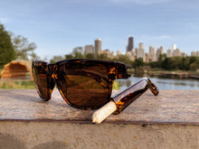 Load image into Gallery viewer, Vicerays Storage Sunglasses

