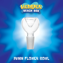 Load image into Gallery viewer, Hemper Jelly Fish Jar Box
