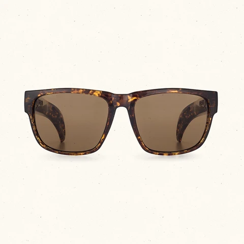 Vicerays Storage Sunglasses